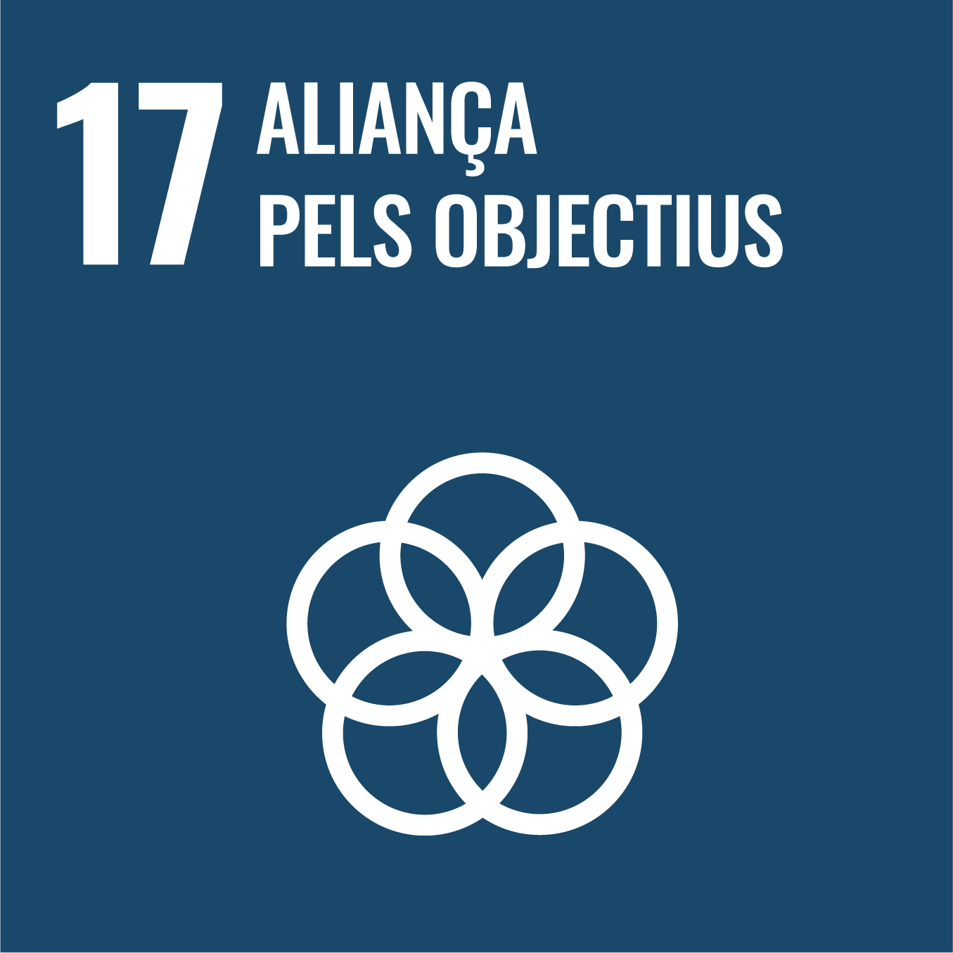 ODS 17 aliança pels objectius